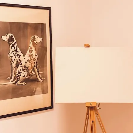 Art Studio Myslym Shyri Tiranë Eksteriør bilde